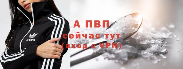 apvp Инта