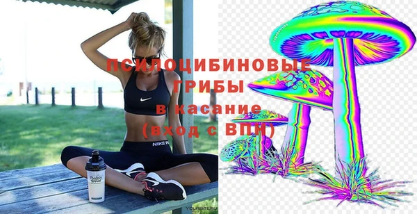 mix Инсар