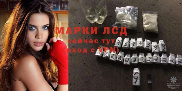 apvp Инта