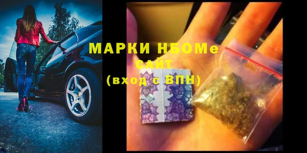 apvp Инта