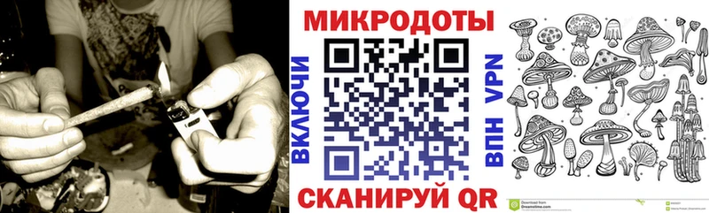 Псилоцибиновые грибы Psilocybine cubensis  Новомосковск 