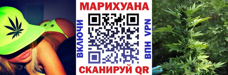 Бошки марихуана MAZAR  как найти закладки  Новомосковск 